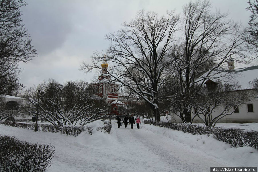 Середина зимы в Новодевичьем монастыре Москва, Россия