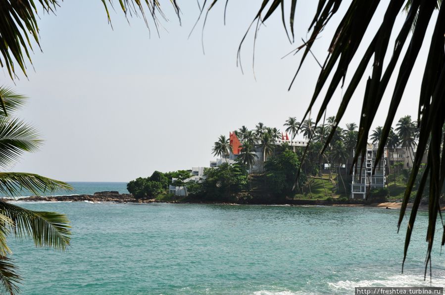 Вид на отель Tangalla Bay с веранды гест-хауса неподалеку. Шри-Ланка