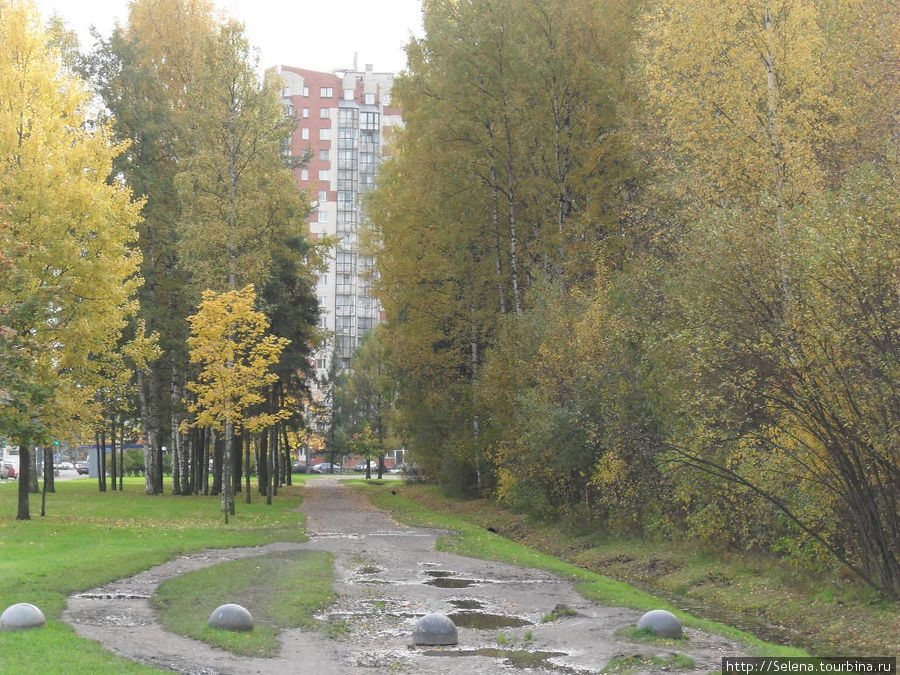 Осенние краски Сосновки Санкт-Петербург, Россия