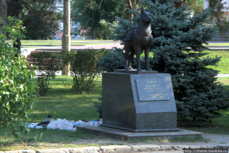 Памятник собаке Волгоград, Россия