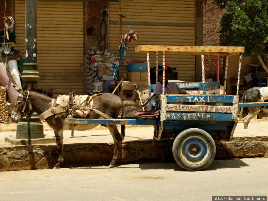 Такси-такси! Кому такси? Оазис Сива, Египет