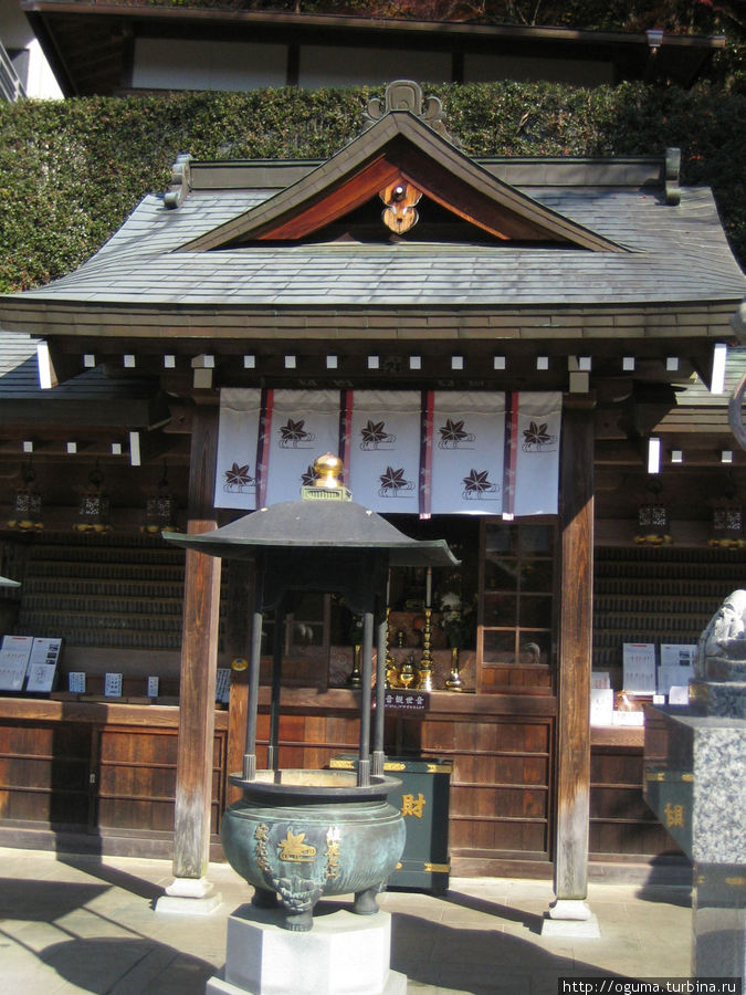 Последний оплот осени в Аити – храм Jakkoin в Инуяма