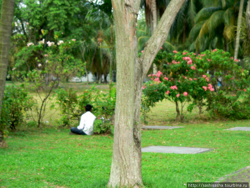 Парк Калланг Риверсайд Сингапур (город-государство)