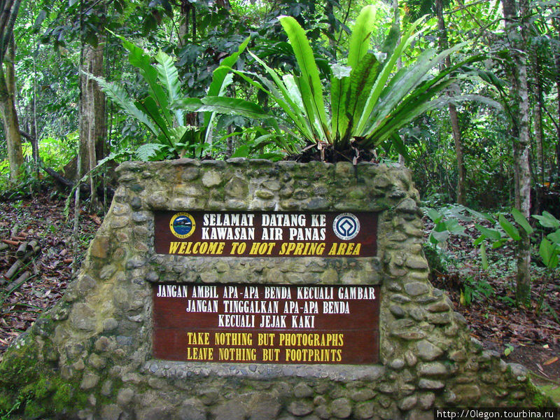 Огромная территория развлечений в джунглях Кота-Кинабалу, Малайзия