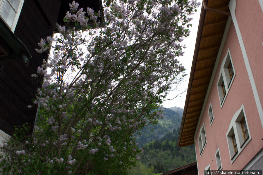 И снова пешком в горы Бад-Хофгаштайн, Австрия