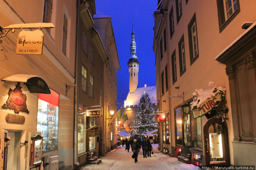 Таллинн в Рождество Таллин, Эстония
