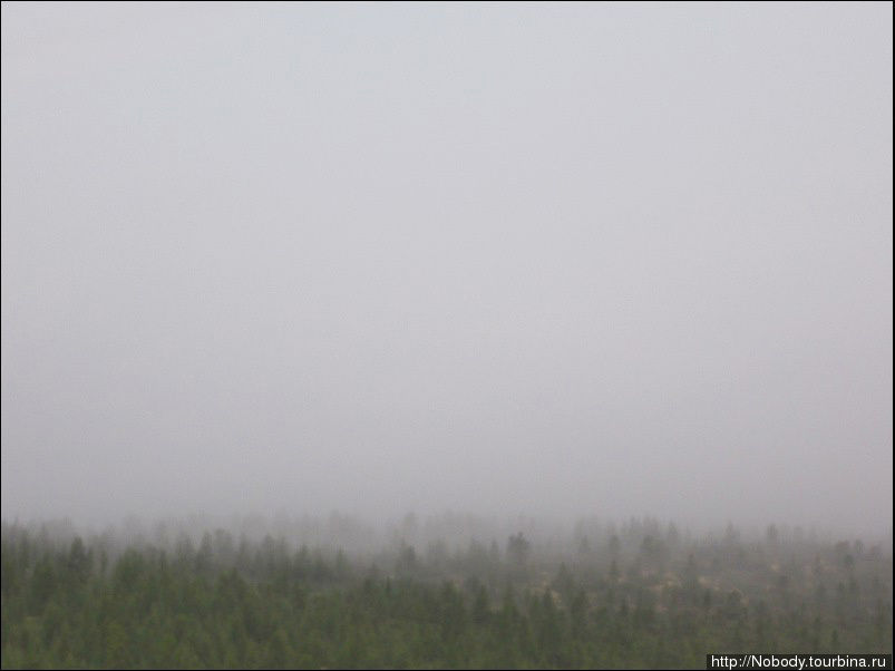 Лес в тумане... Магаданская область, Россия