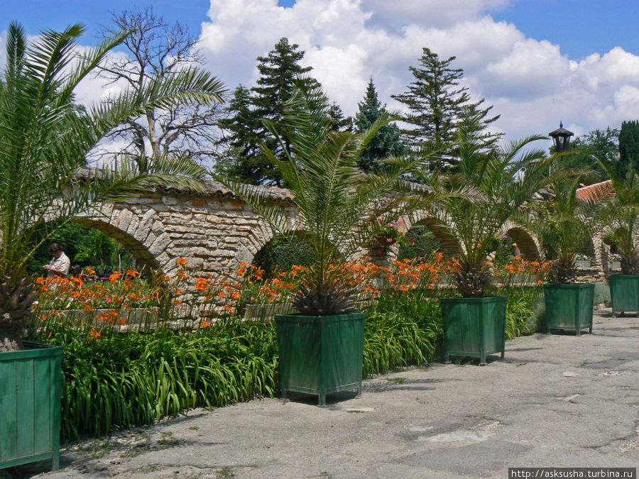 Экскурсия в ботанический сад Балчика