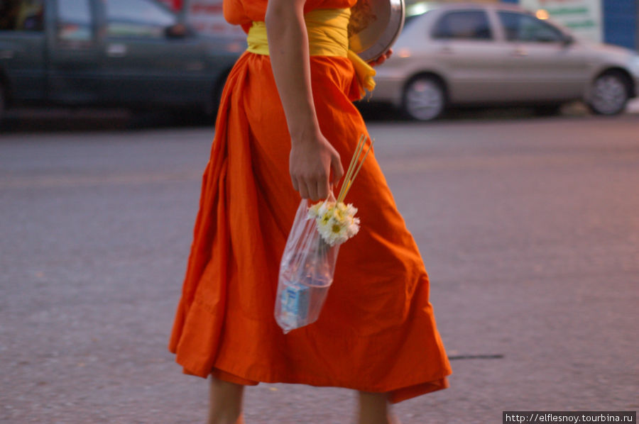 Цветочки активно используются в ритуалах поклонения Будде Чиангмай, Таиланд