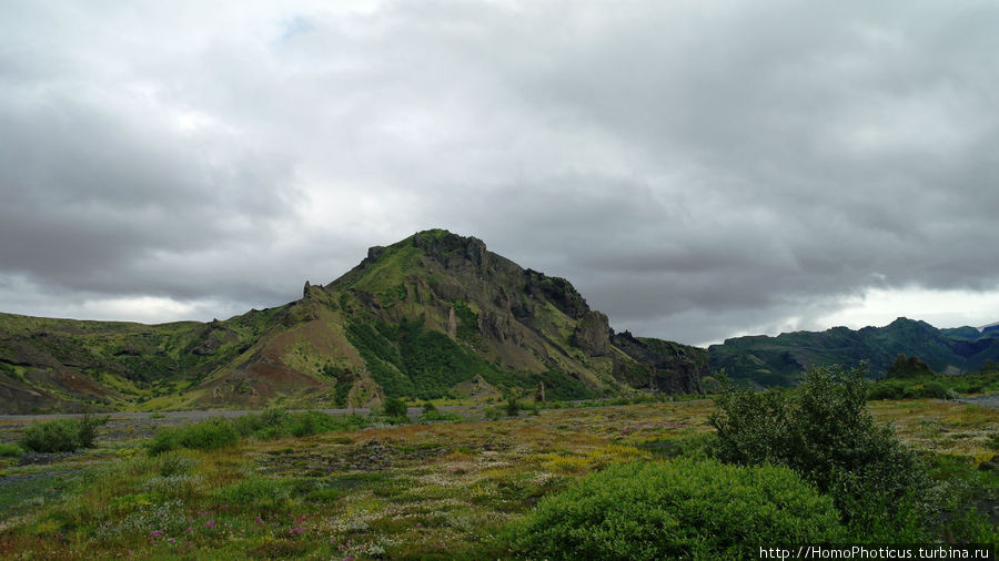 Лес Тора Южная Исландия, Исландия