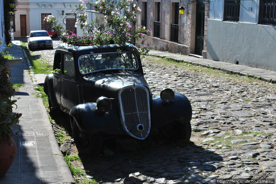 Авто-клумба Монтевидео, Уругвай