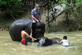 Купание со слоном в водопаде Тад Сэ