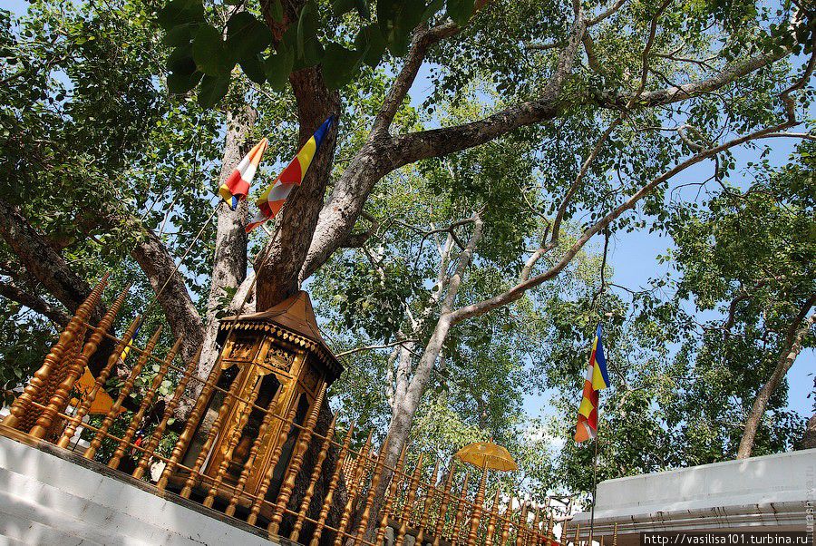 Анурадхапура - очень жаркий день среди древних ступ Анурадхапура, Шри-Ланка