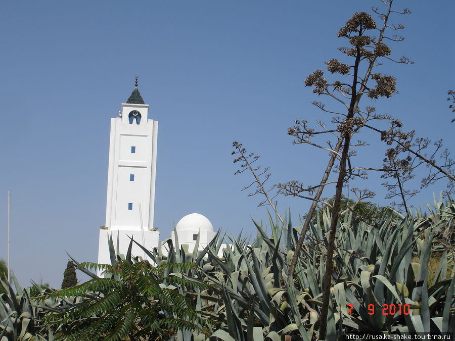 Сиди-Бу-Саид, Голубой город Сиди-Бу-Саид, Тунис