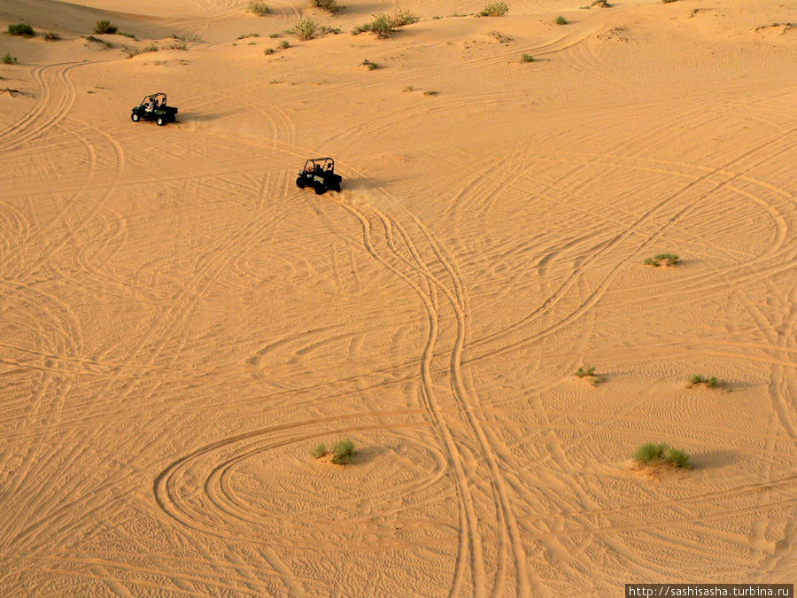 Сафари тур на джипах с ночным представлением в пустыне Дубай, ОАЭ