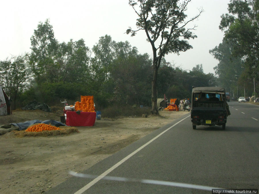 Яркие апельсины на обочине в пасмурный день. Штат Пенджаб Индия