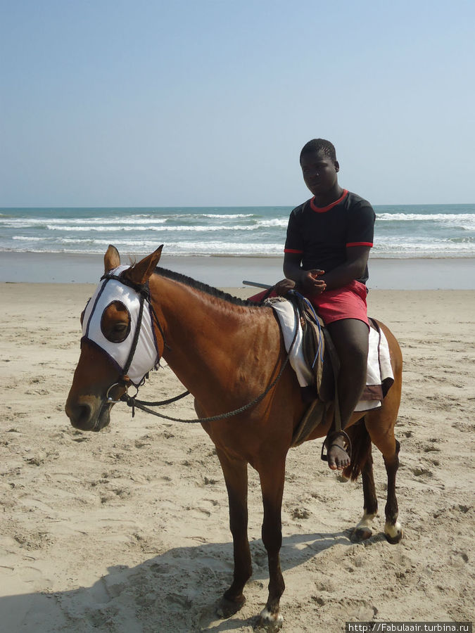 Этот чувак покатает вас на лошадке всего  за 3 ганаседи Аккра, Гана