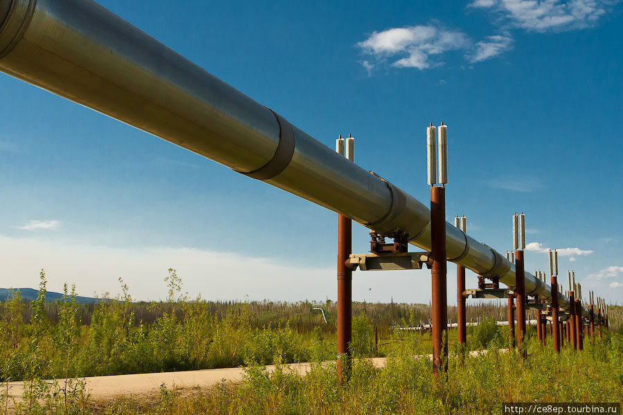 Нефтепровод — та самая труба, благодаря которой и появилась дорога Штат Аляска, CША