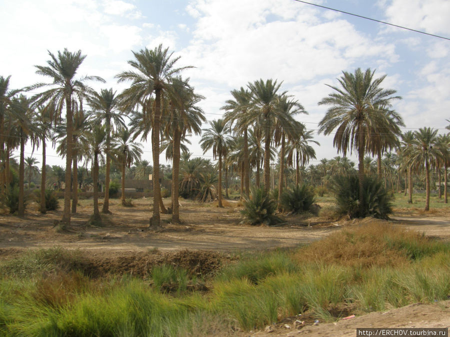 По древней Месопотамии Ч 14 Дворцы Саддама в Вавилоне Провинция Бабиль, Ирак