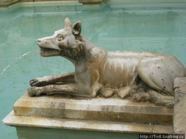 Волчица, вечная римская-итальянская волчица! Сиена, Италия