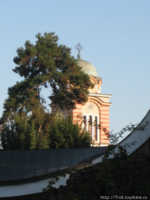 Сосны и башня церкви Банья-Лука, Босния и Герцеговина