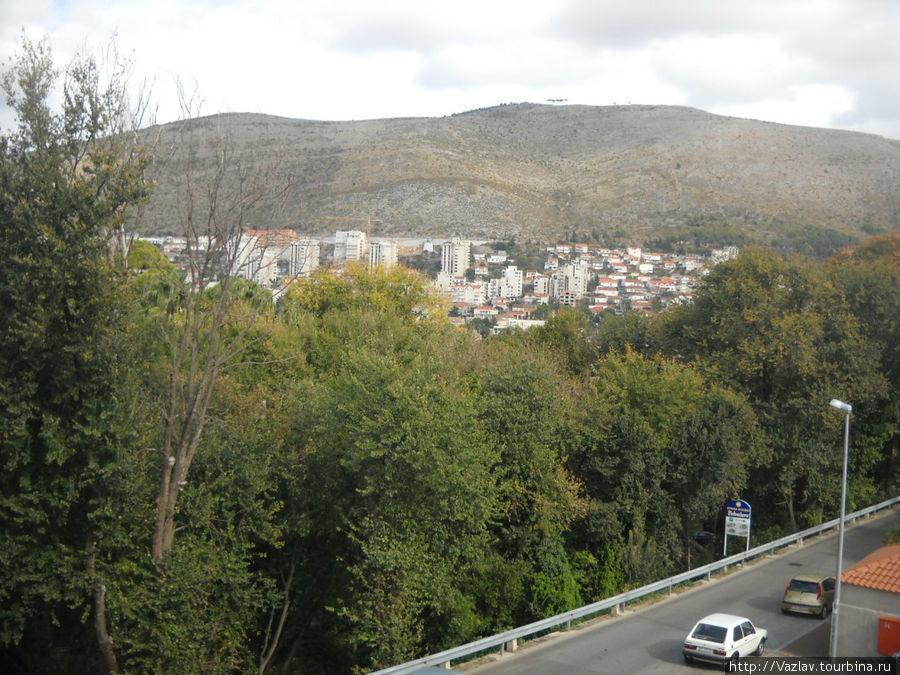 Заросли Дубровник, Хорватия