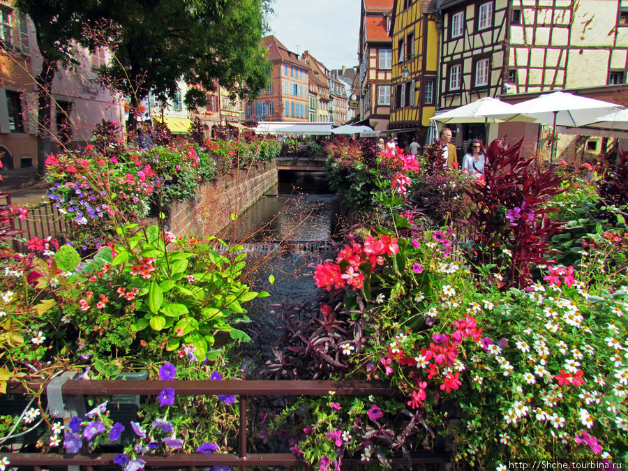 Утопающий в цветах... Кольмар, Франция