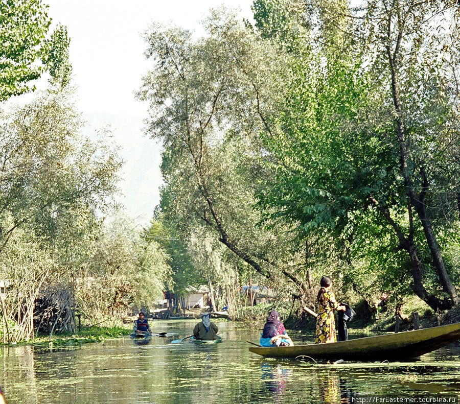 Жизнь на воде Шринагар, Индия