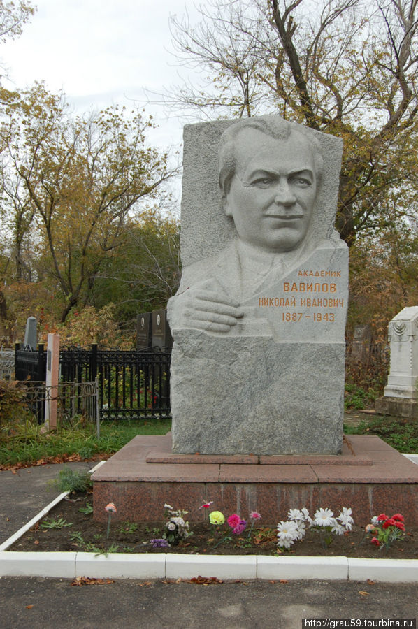 Памятник Н.И.Вавилову на Воскресенском кладбище Саратов, Россия
