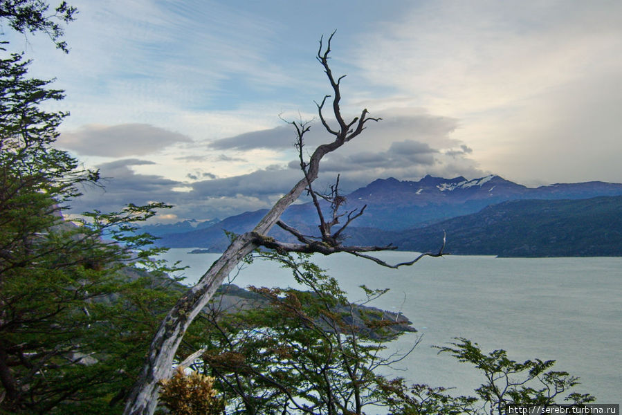 Треккинг в парке Torres Del Paine (день 4-5) Национальный парк Торрес-дель-Пайне, Чили