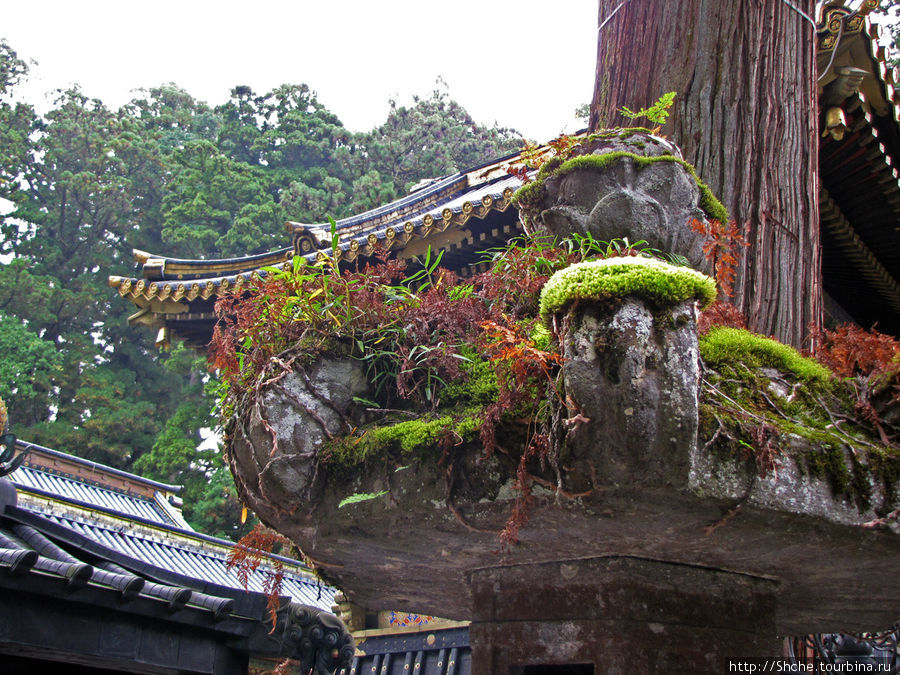 Главная достопримечательность Никко-храмовый комплекс Тосёгу Никко, Япония