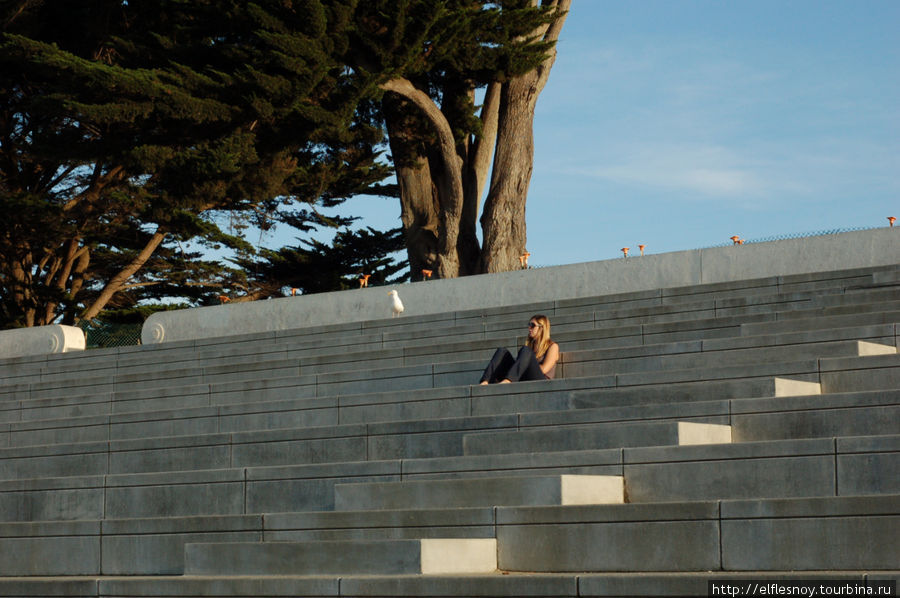 Вблизи набережной люди отдыхают. Здесь парки, скверы, пляжи и прочая благодать. Сан-Франциско, CША