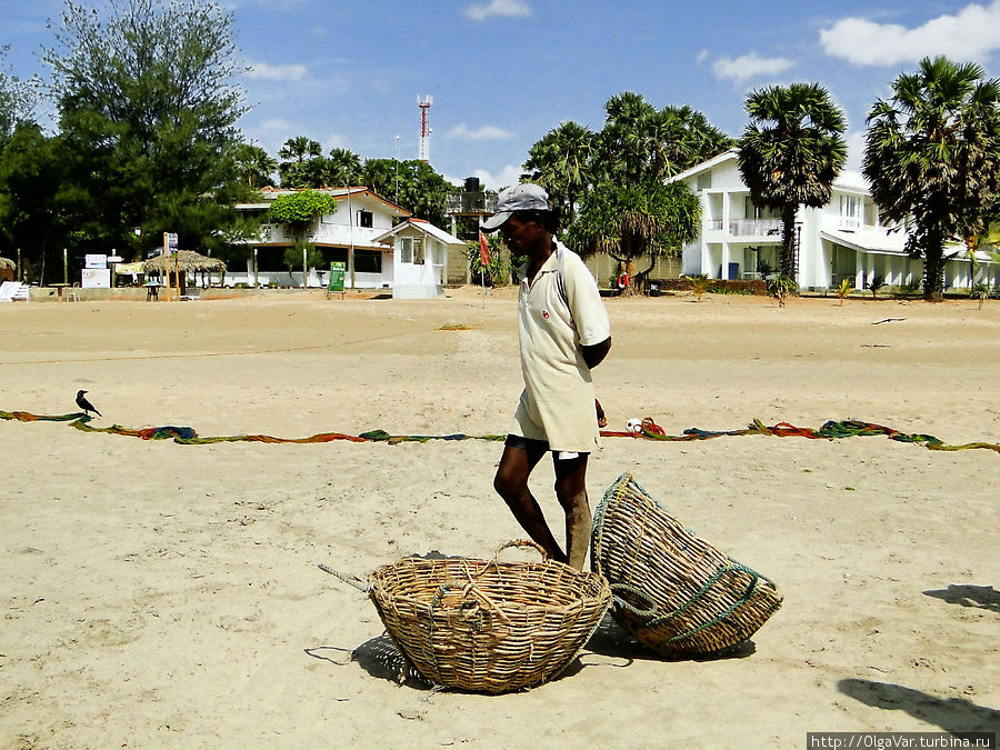 Чуть в стороне уже стоят торговцы, чтобы отнести рыбу на продажу Тринкомали, Шри-Ланка