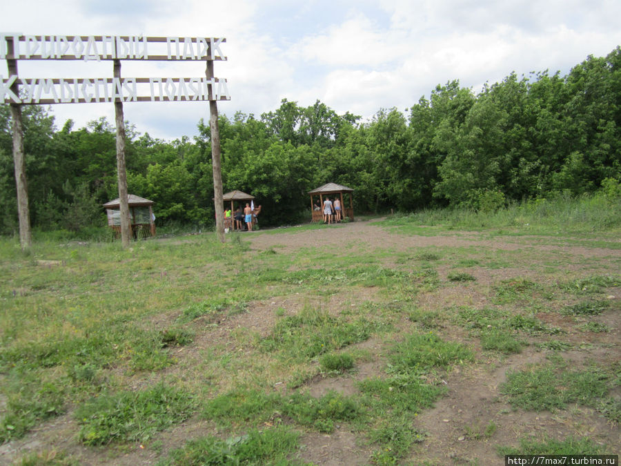 Лесопарк  Кумысная поляна Саратов, Россия