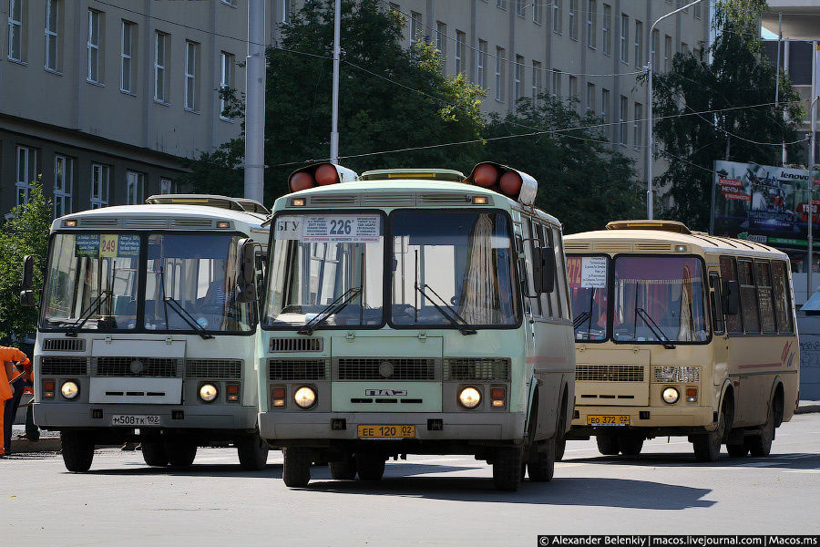 Местные автобусы похожи на шмелей. Уфа, Россия