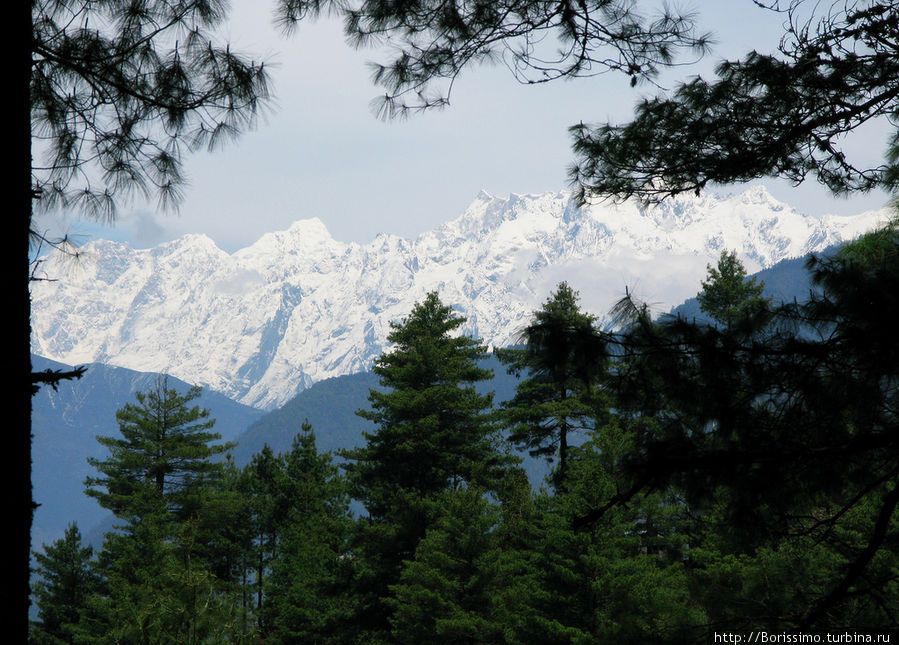 Сквозь заросли то и дело проглядывали горы. Непал
