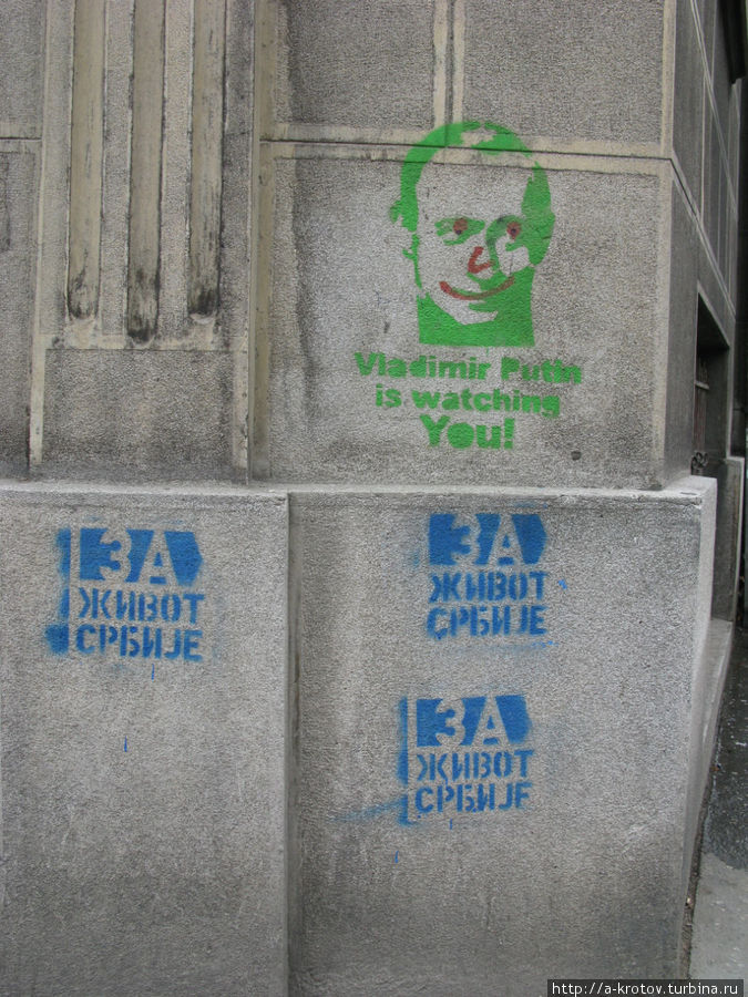 Много портретов Владимира Путина, сделанных по трафарету. Он мог бы стать Президентом Сербии Белград, Сербия