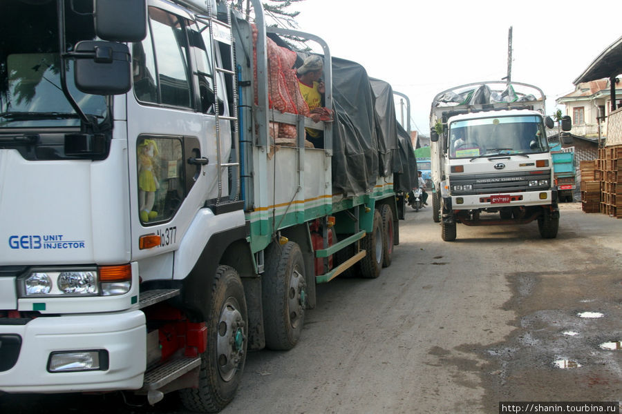 Помидоры вывозт грузовиками Ньяунг-Шве, Мьянма