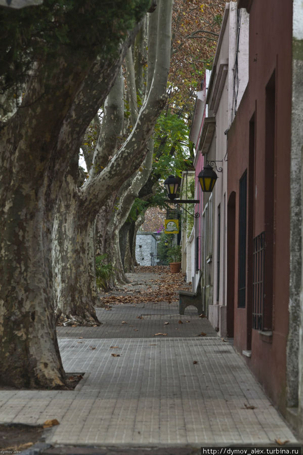 Колония-дель-Сакраменто. Историческая часть города Колония-дель-Сакраменто, Уругвай