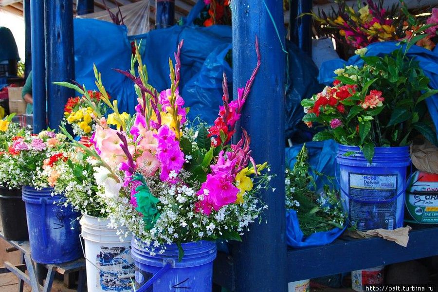 Есть не рекомендуется, но как красиво!
Перу, рынок в Куско, февраль 2012 года Перу