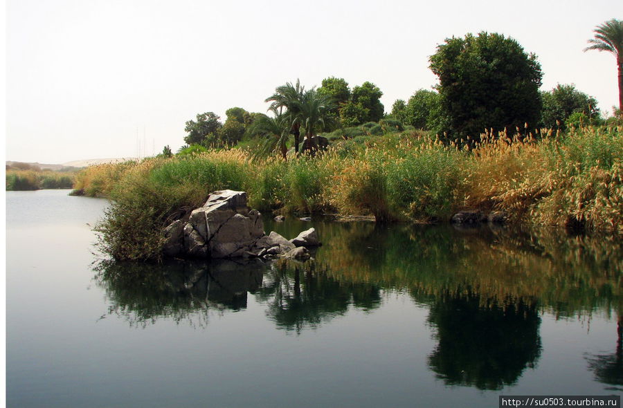 Чуден Нил при тихой погоде Египет