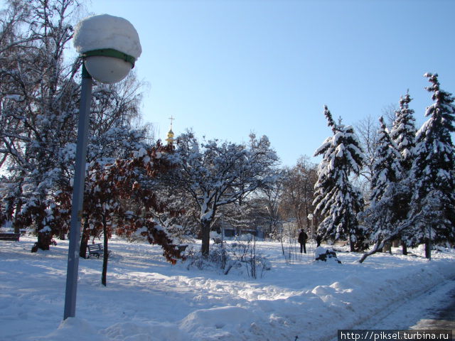 Заснежанными аллеями парка Киев, Украина