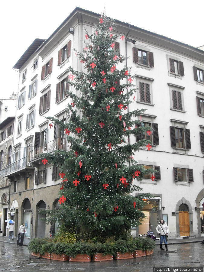 Рождественская елка украшена флёр-де-лисами. Флоренция, Италия