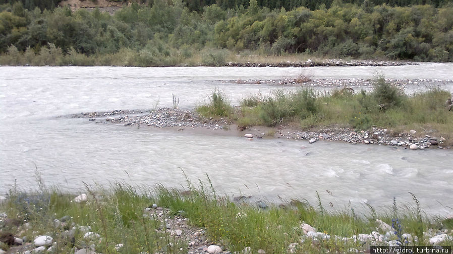 Природа реки Чилик Алматинская область, Казахстан