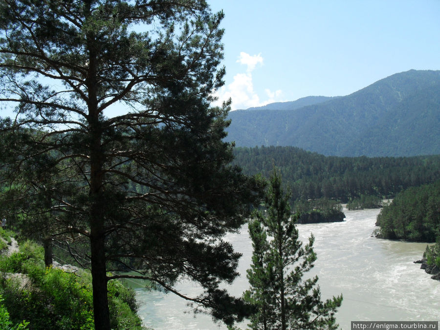 Вид на Катунь с Чемальской тропы. Республика Алтай, Россия