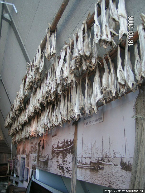 Стенд, посвящённый норвежскому рыболовству