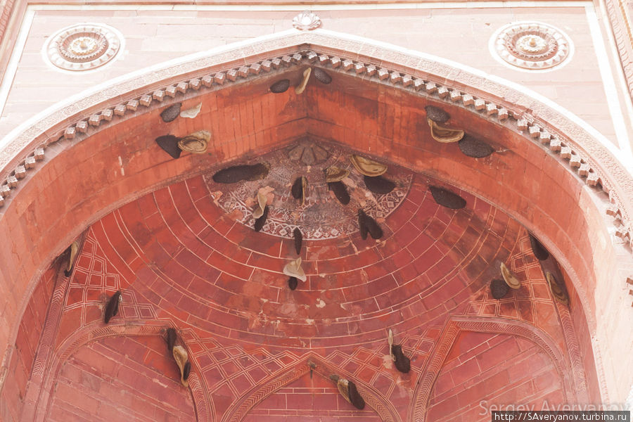 Гнёзда диких пчёл под сводами мечети Джама-Масджид Джайпур, Индия