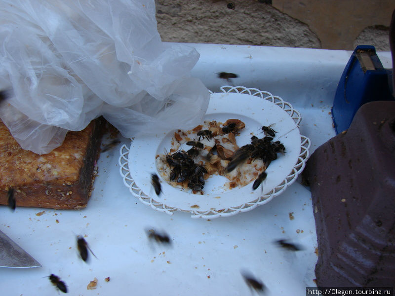 Мухи и пчёлы сопроводят ваше питание Фес, Марокко