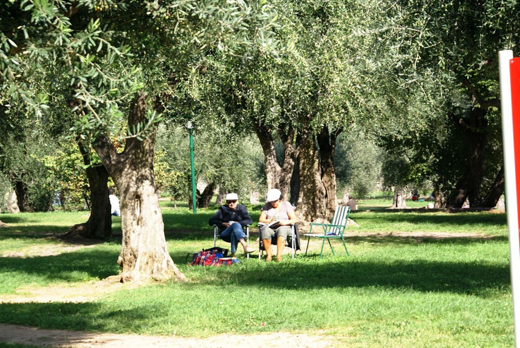 В тени олив отдыхают люди