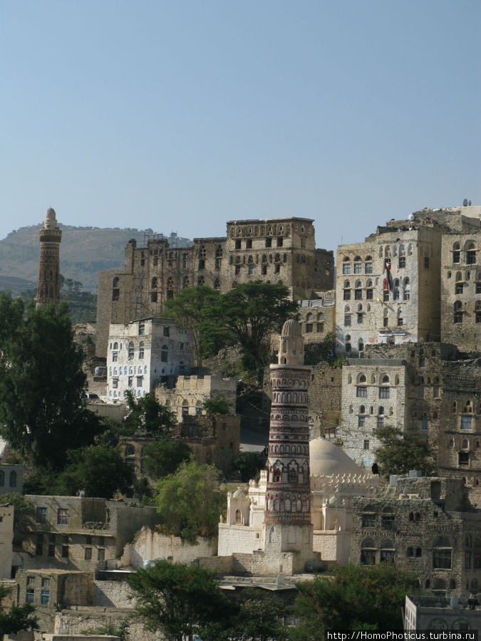 Джибла Джибла, Йемен